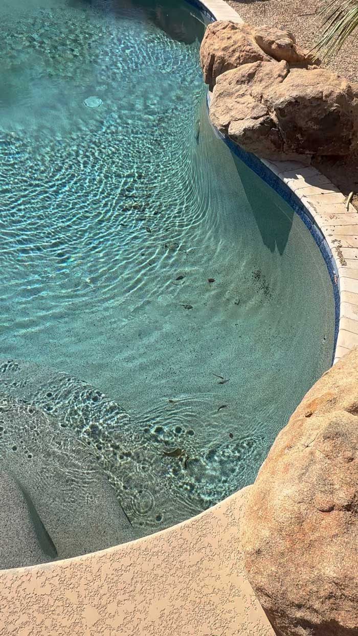 Pool Maintenance